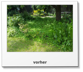 vorher